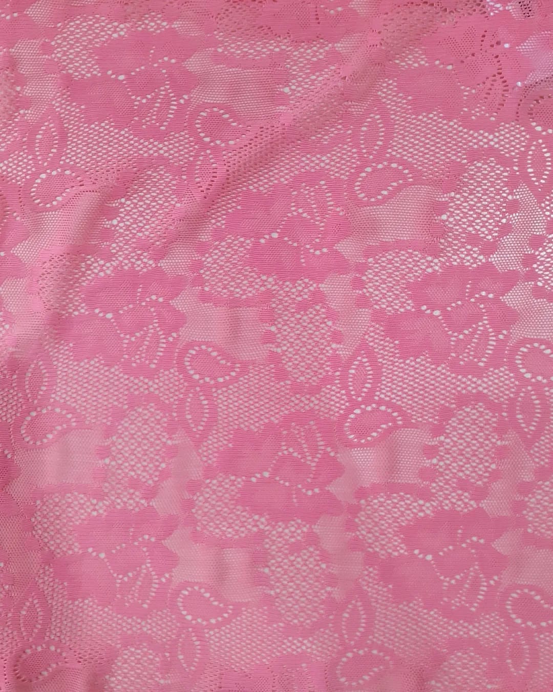 Brukat Stefany D#HDS 652 P