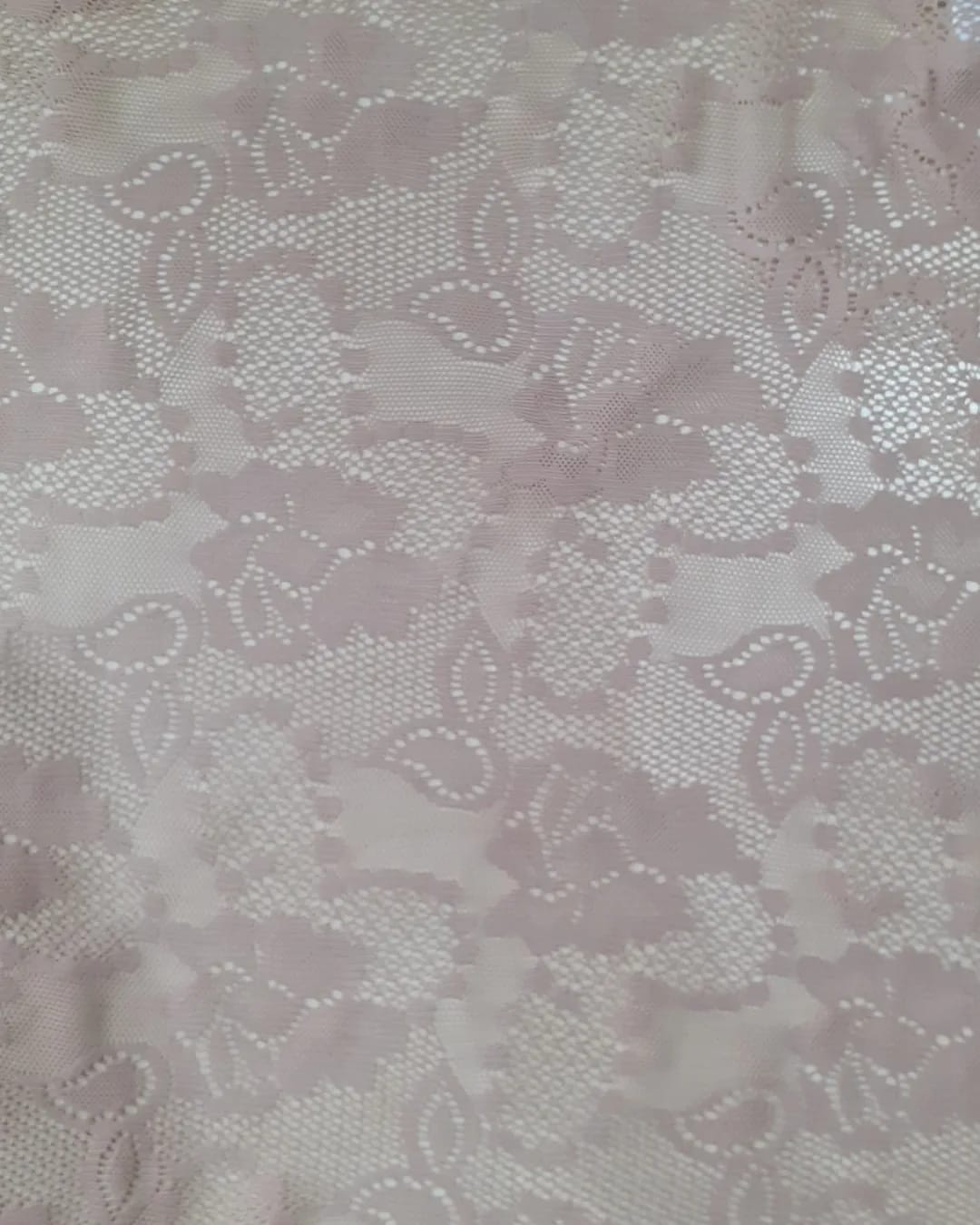 Brukat Stefany D#HDS 652 P